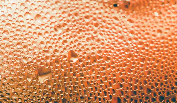 blog-banner-carbonated-drinks