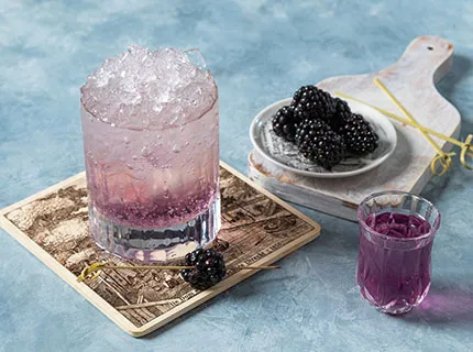 rectangle-coktails-blackberry